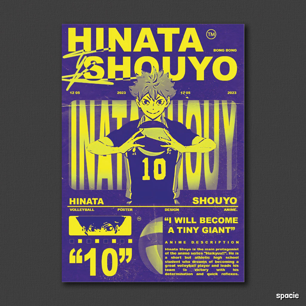Hinata Shoyo - Anime Posters Collection