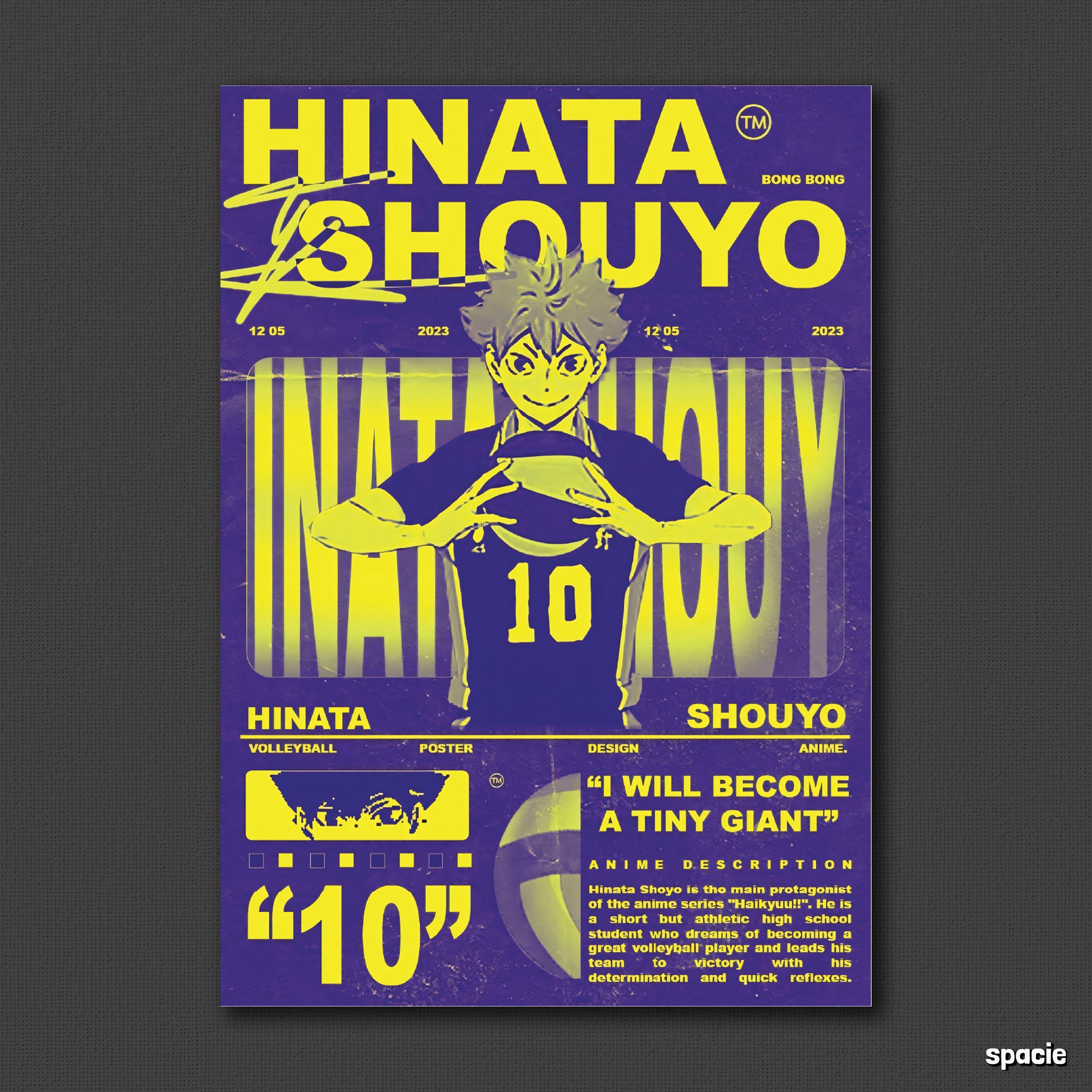 Hinata Shoyo - Anime Posters Collection