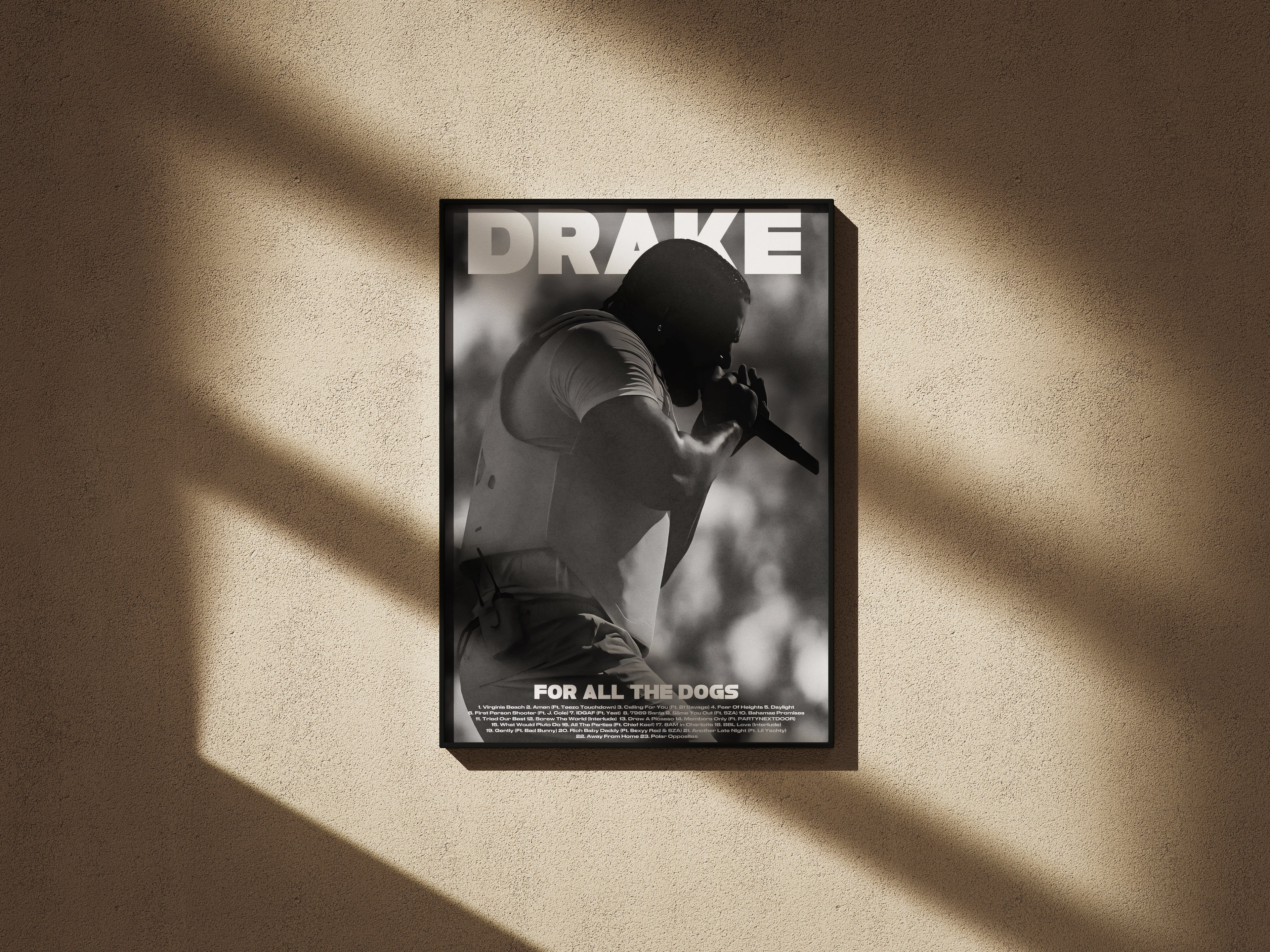 Drake Poster 04