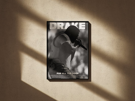 Drake Poster 04