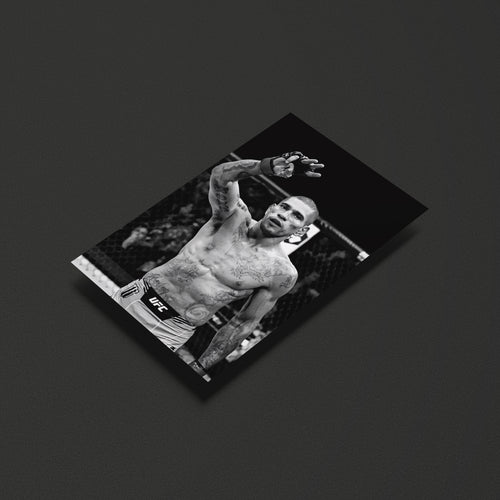 Alex Pereira UFC Fighter Poster