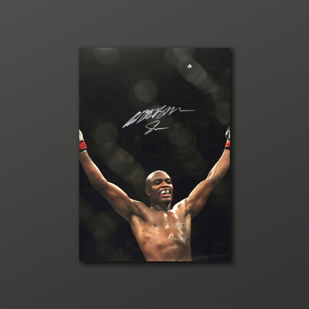 Anderson Silva Poster 01