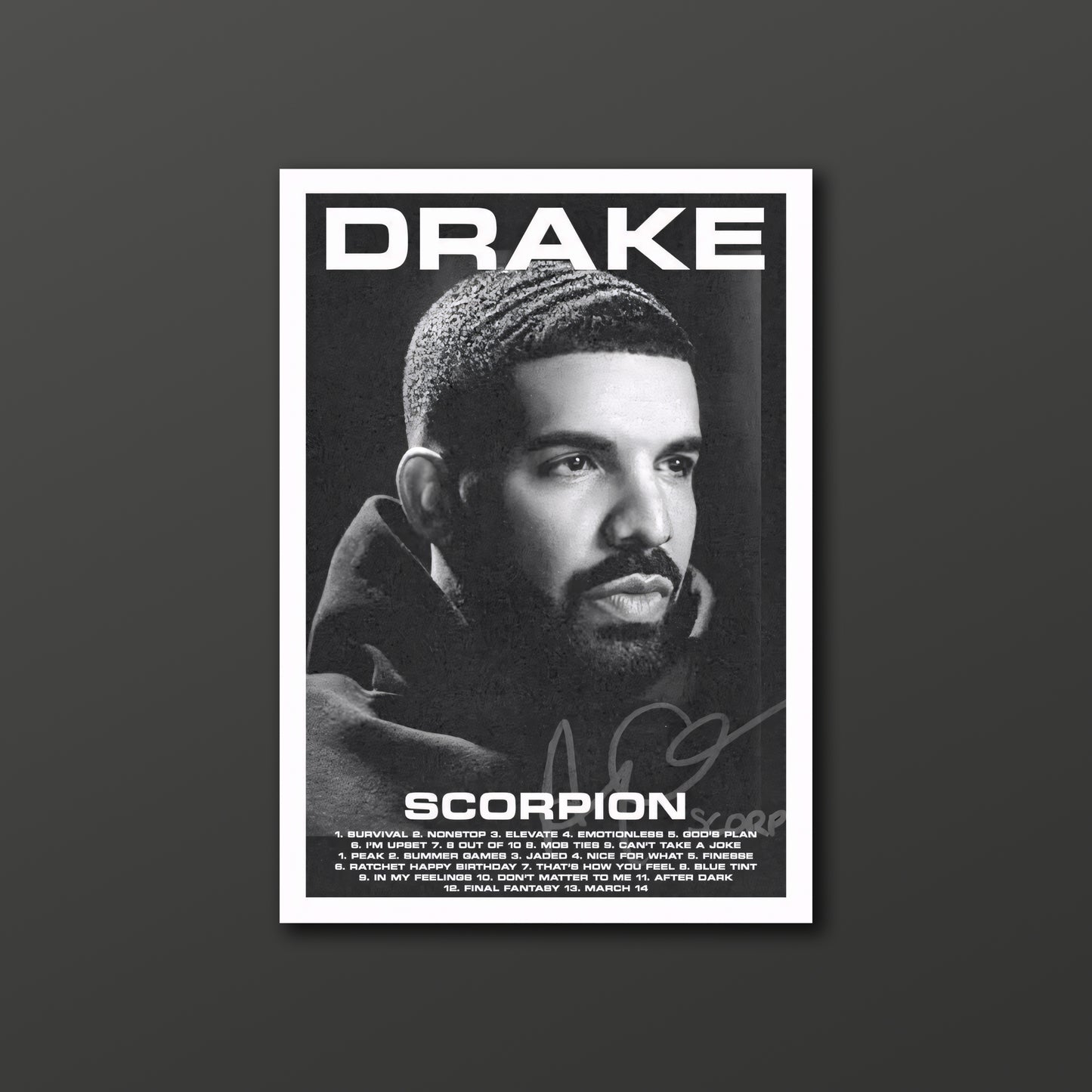 Drake Poster 03