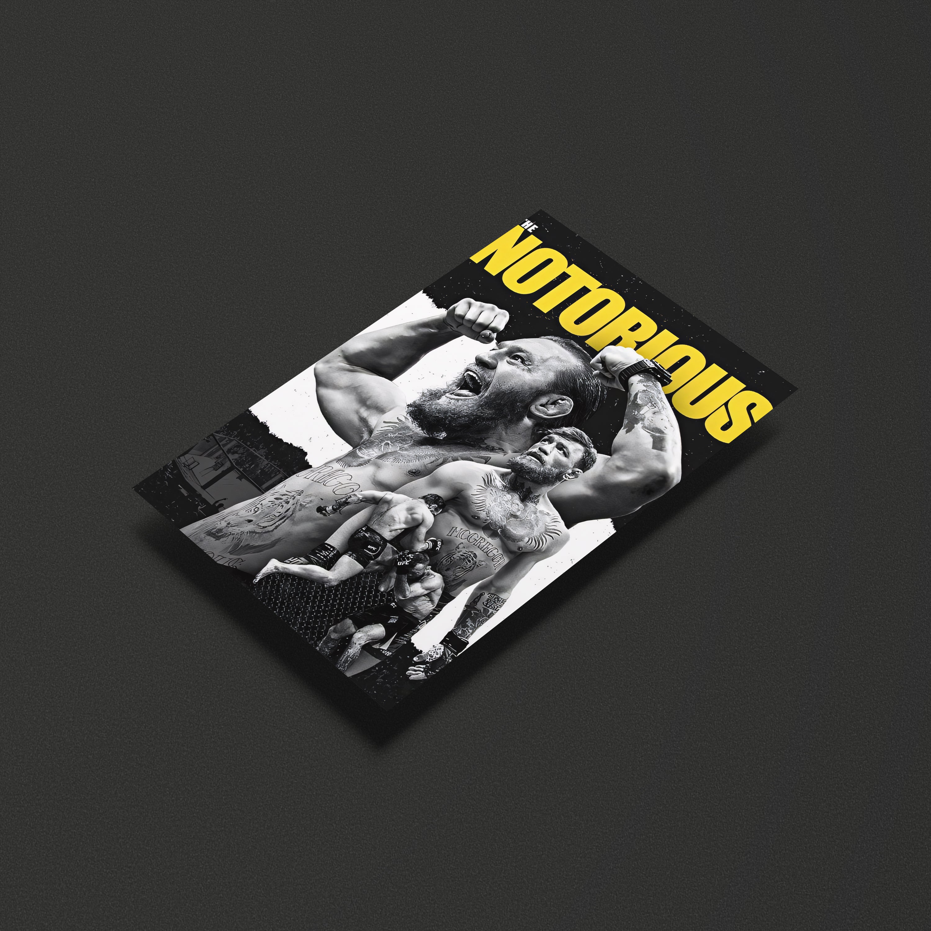 Conor McGregor UFC Fighter Poster