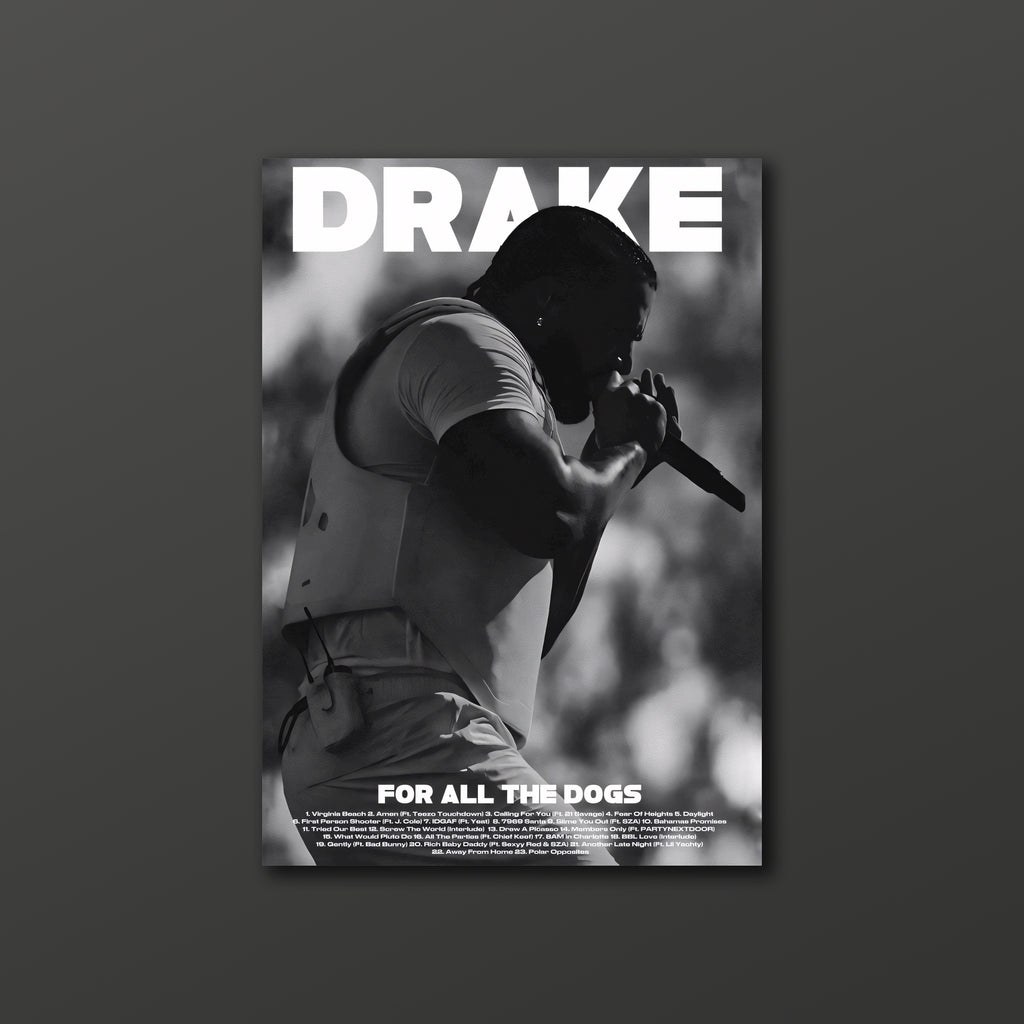 Drake Poster 04