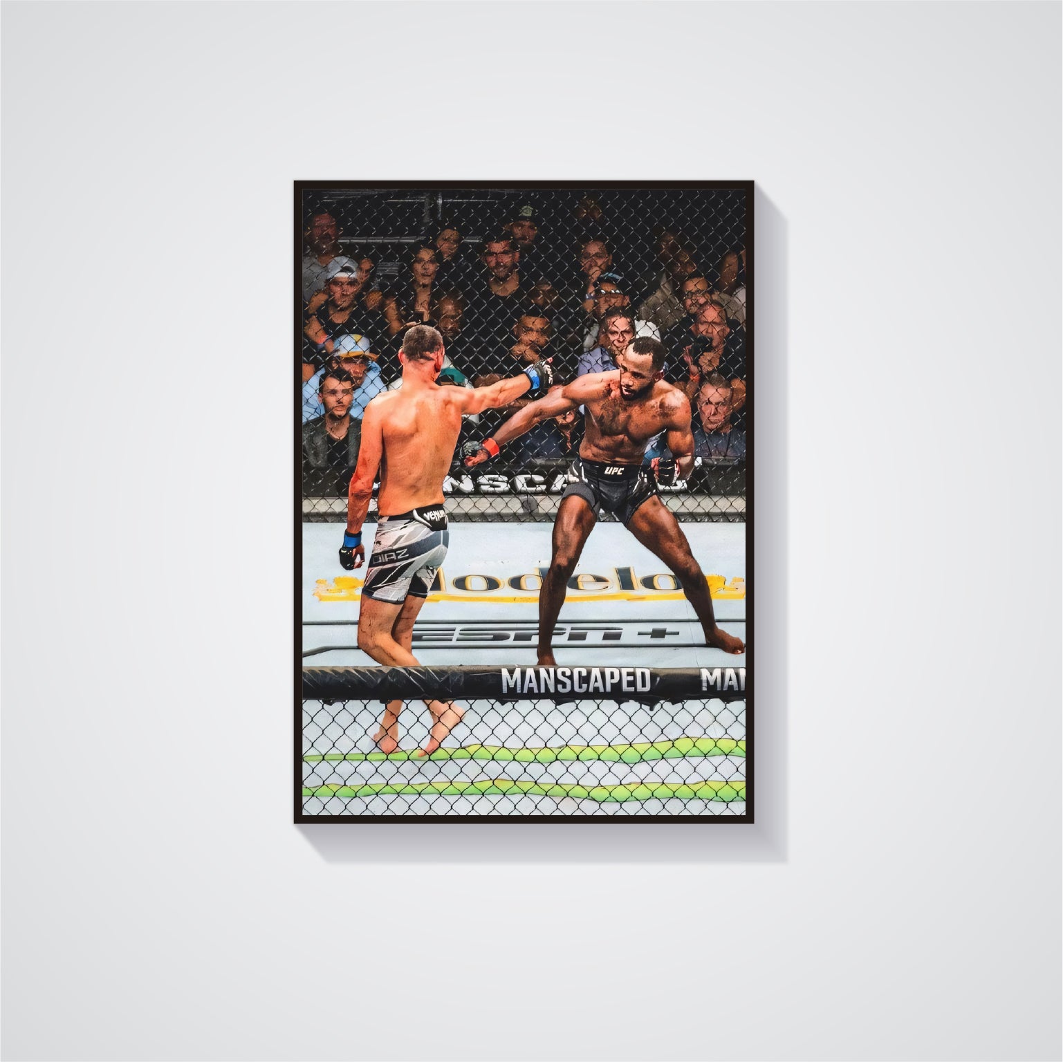 Nate Diaz Poster 02