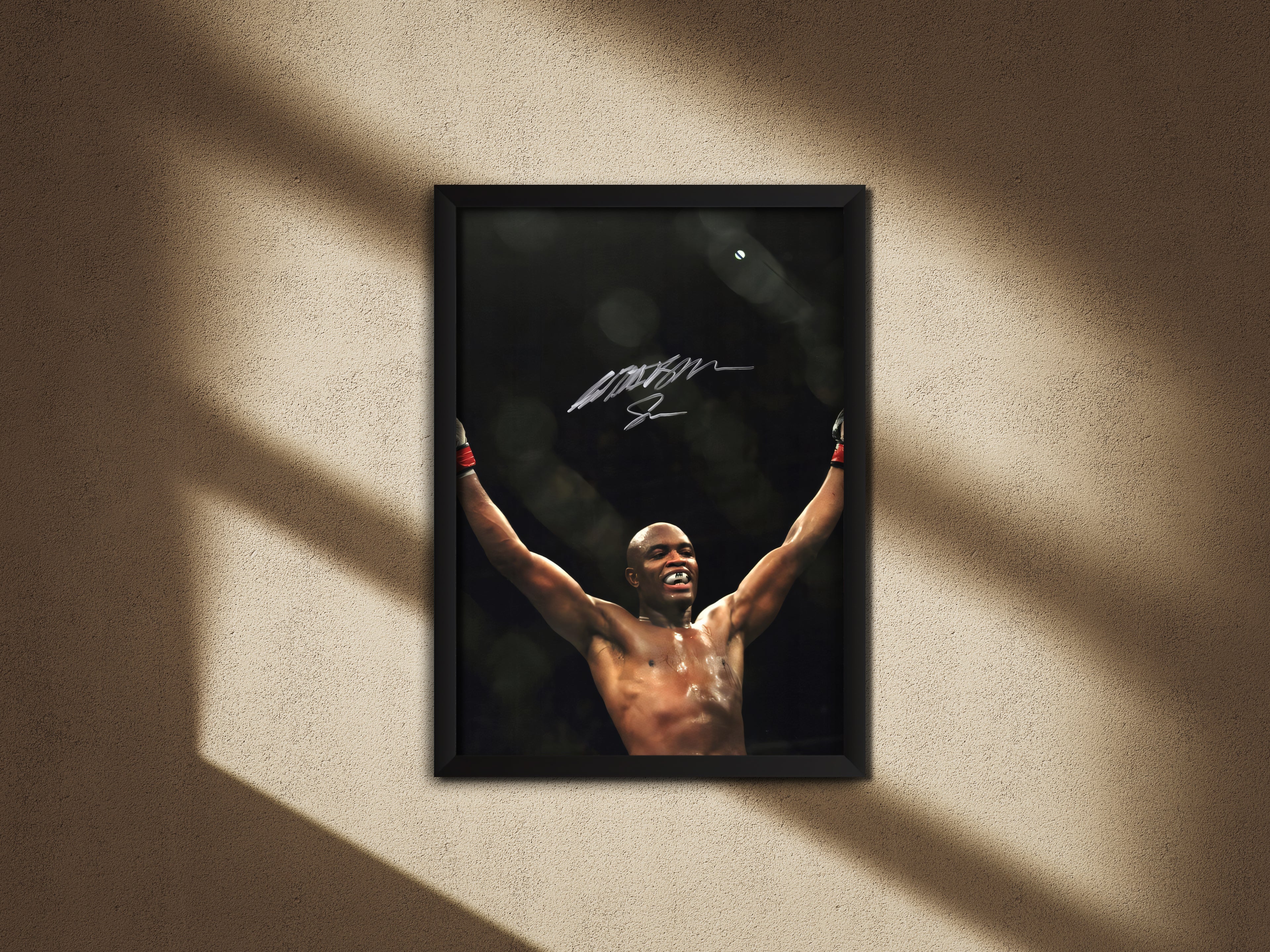 Anderson Silva Poster 01