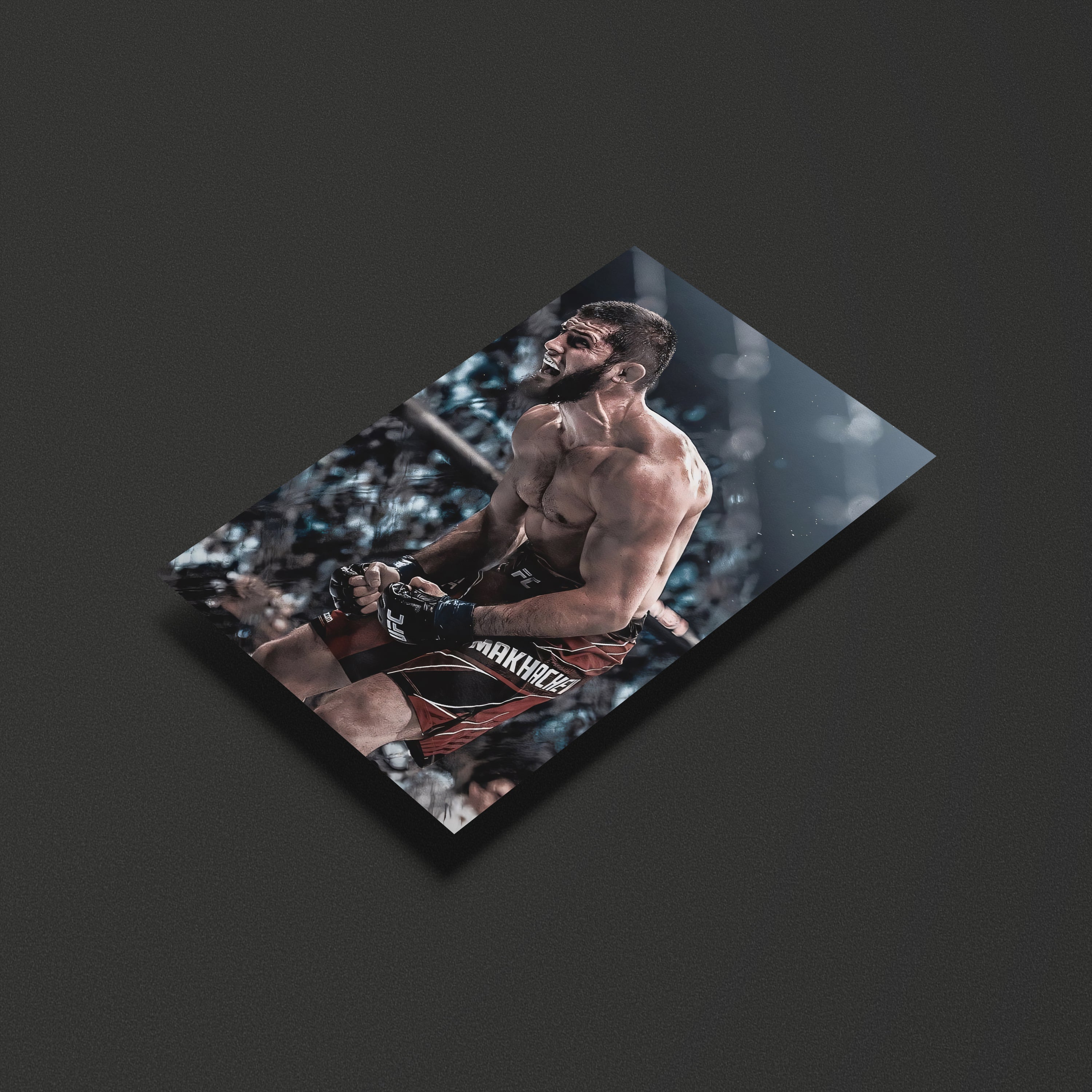 Islam Makhachev UFC Fighter Poster