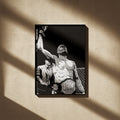 Anderson Silva Poster 04
