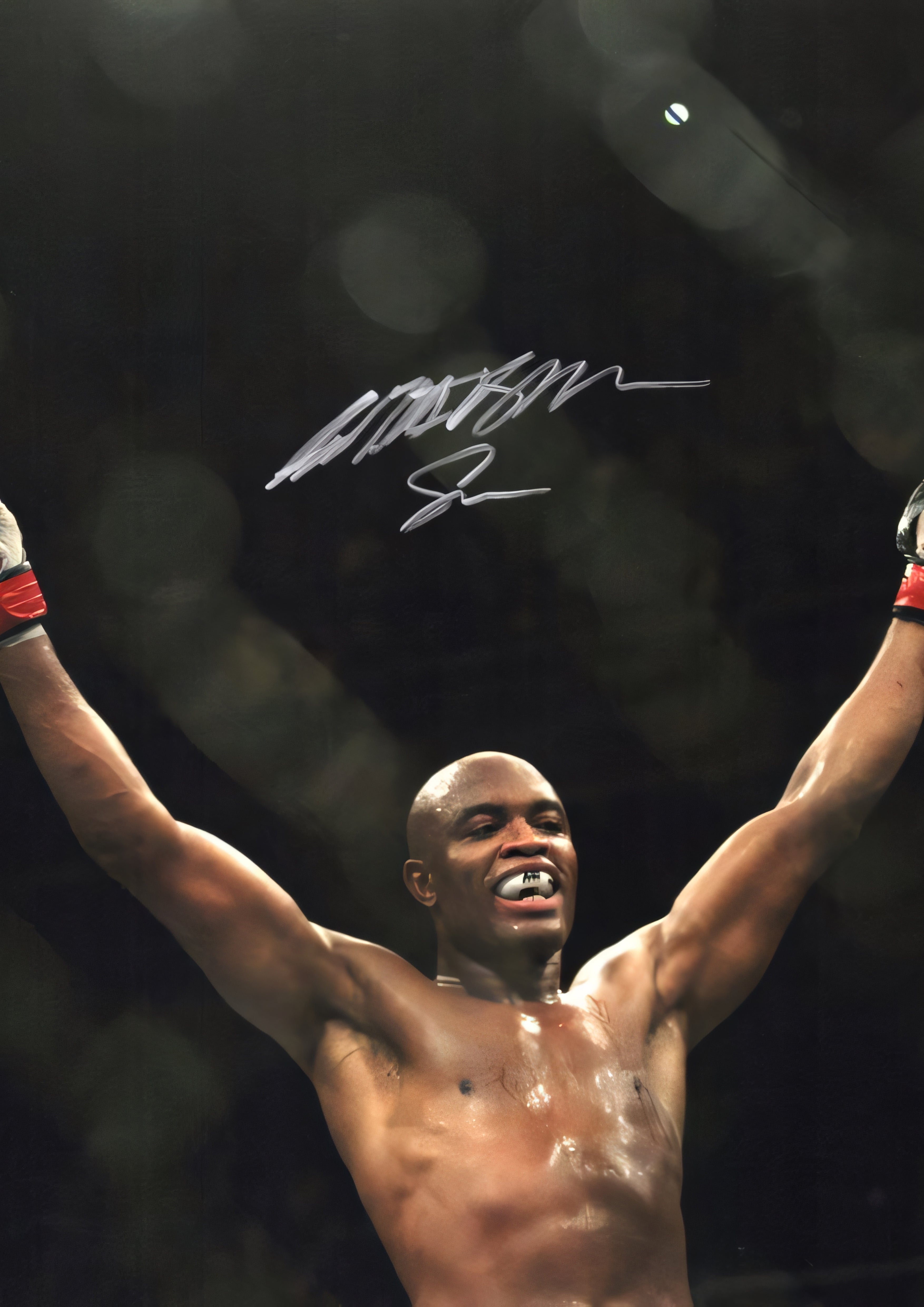 Anderson Silva Poster 01
