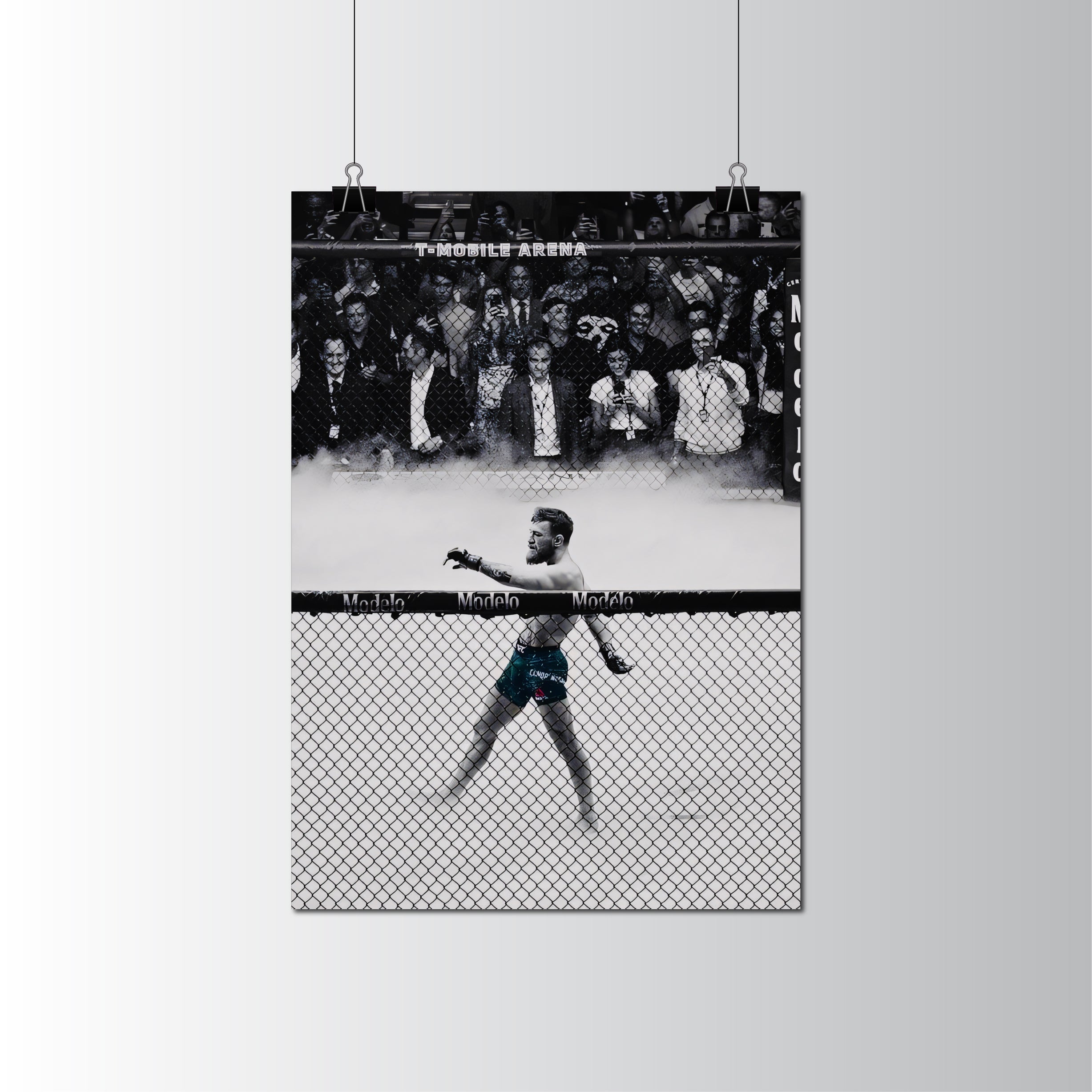 Conor McGregor UFC Fighter Poster